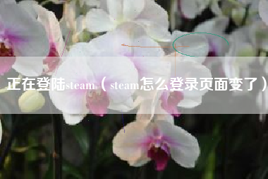 正在登陆steam（steam怎么登录页面变了）