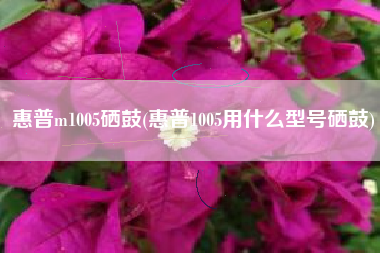 惠普m1005硒鼓(惠普1005用什么型号硒鼓)