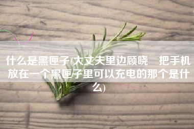 什么是黑匣子(大丈夫里边顾晓珺把手机放在一个黑匣子里可以充电的那个是什么)