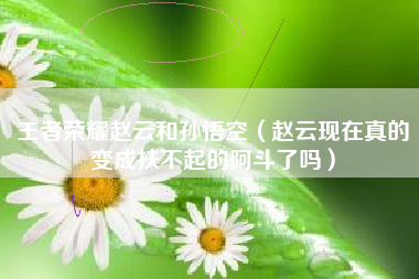 王者荣耀赵云和孙悟空（赵云现在真的变成扶不起的阿斗了吗）