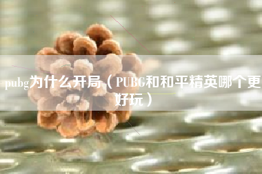 pubg为什么开局（PUBG和和平精英哪个更好玩）