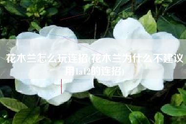 花木兰怎么玩连招(花木兰为什么不建议用1a12的连招)