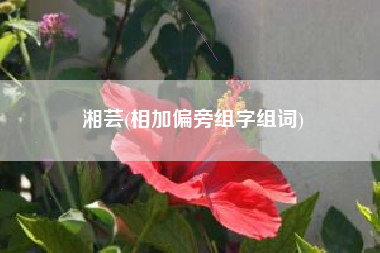 湘芸(相加偏旁组字组词)