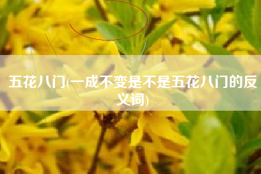 五花八门(一成不变是不是五花八门的反义词)