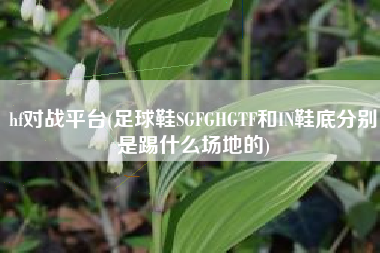 hf对战平台(足球鞋SGFGHGTF和IN鞋底分别是踢什么场地的)