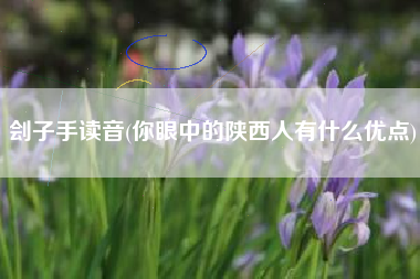 刽子手读音(你眼中的陕西人有什么优点)