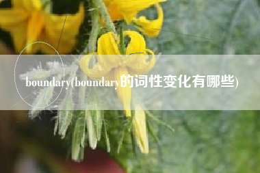 boundary(boundary的词性变化有哪些)