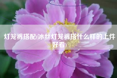 灯笼裤搭配(冰丝灯笼裤搭什么样的上件好看)