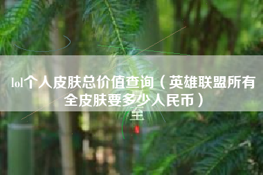 lol个人皮肤总价值查询（英雄联盟所有全皮肤要多少人民币）