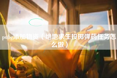 pubg添加物资（绝地求生投掷弹药任务怎么做）