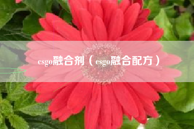 csgo融合剂（csgo融合配方）