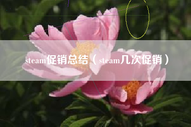 steam促销总结（steam几次促销）