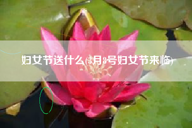 妇女节送什么(3月8号妇女节来临)