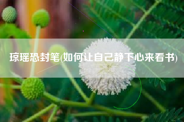 琼瑶恐封笔(如何让自己静下心来看书)