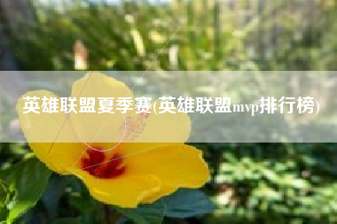 英雄联盟夏季赛(英雄联盟mvp排行榜)