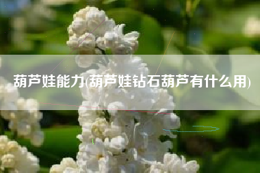 葫芦娃能力(葫芦娃钻石葫芦有什么用)