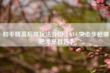 和平精英后排玩法介绍（AUG突击步枪哪把才是首选）