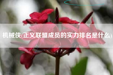 机械侠(正义联盟成员的实力排名是什么)