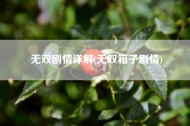 无双剧情详解(无双箱子剧情)