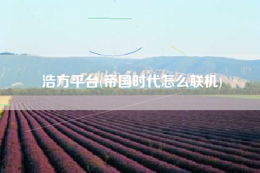 浩方平台(帝国时代怎么联机)