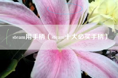 steam用手柄（steam十大必买手柄）