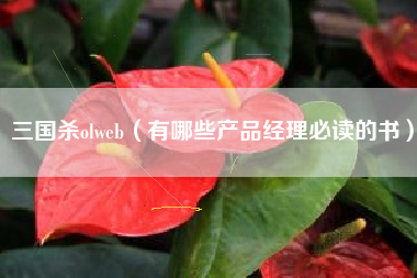 三国杀olweb（有哪些产品经理必读的书）