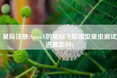 星际注册(SpaceX的星际飞船原型星虫测试进展如何)