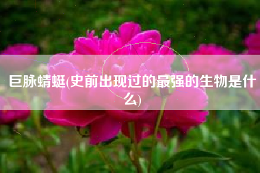 巨脉蜻蜓(史前出现过的最强的生物是什么)