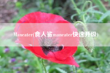 Maneater(食人鲨maneater快速升级)