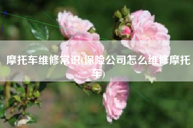 摩托车维修常识(保险公司怎么维修摩托车)