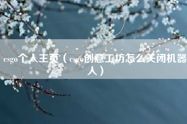 csgo个人主页（csgo创意工坊怎么关闭机器人）