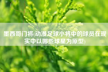 墨西哥门将(动漫足球小将中的球员在现实中以哪些球星为原型)