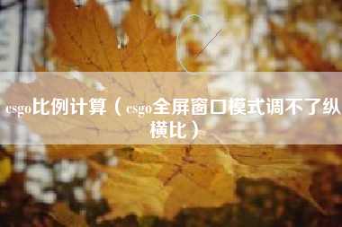 csgo比例计算（csgo全屏窗口模式调不了纵横比）