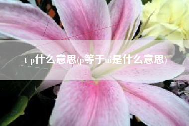 t p什么意思(p等于ui是什么意思)