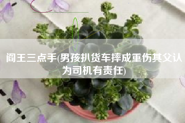 阎王三点手(男孩扒货车摔成重伤其父认为司机有责任)