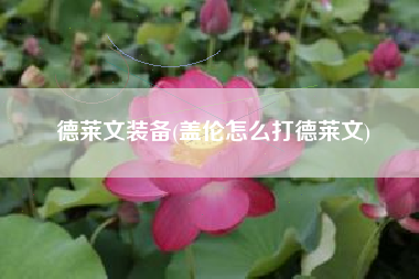 德莱文装备(盖伦怎么打德莱文)