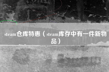 steam仓库特惠（steam库存中有一件新物品）