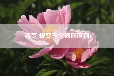 蜕变(蜕变三个词的区别)