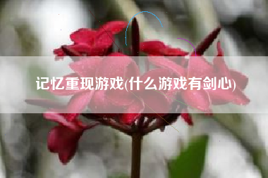 记忆重现游戏(什么游戏有剑心)