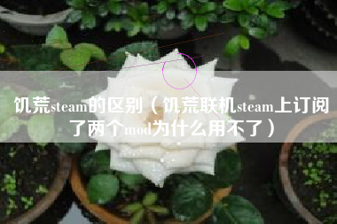 饥荒steam的区别（饥荒联机steam上订阅了两个mod为什么用不了）