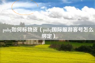 pubg如何标物资（pubg国际服游客号怎么绑定）