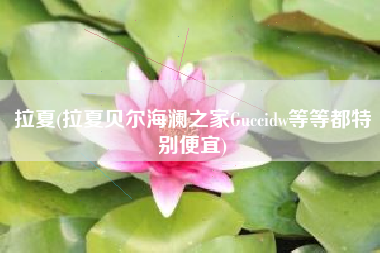 拉夏(拉夏贝尔海澜之家Guccidw等等都特别便宜)