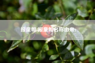 报童帽(报童帽名称由来)