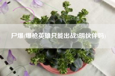 尸爆(爆枪英雄只能出战3明伙伴吗)