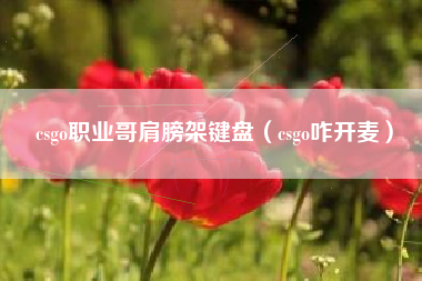 csgo职业哥肩膀架键盘（csgo咋开麦）