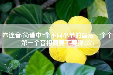 六连音(简谱中2个不同小节的最后一个个第一个音相同要不要弹2次)