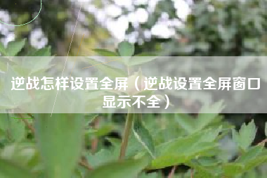 逆战怎样设置全屏（逆战设置全屏窗口显示不全）