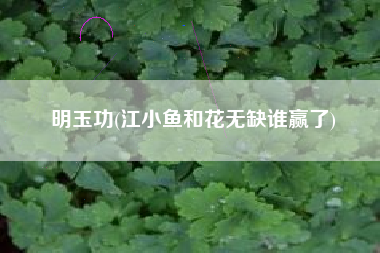 明玉功(江小鱼和花无缺谁赢了)