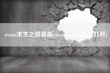 steam求生之路新版(steamoverlay怎么打开)