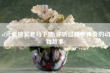 cf元素抽奖老马下地(你听过哪些神奇的动物故事)